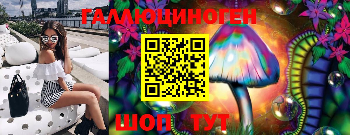 Псилоцибиновые грибы Cubensis Конаково